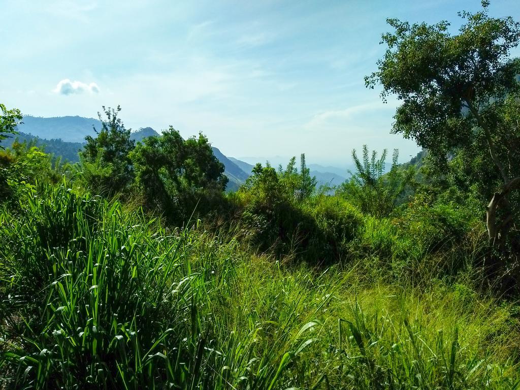 Village View Homestay Ella Exteriér fotografie